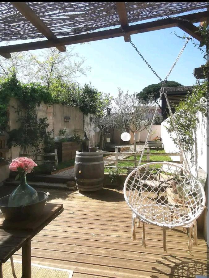 La Maison De Marie - Jardin Arbore - Garage Privatif - Netflix 卡尔卡松 外观 照片